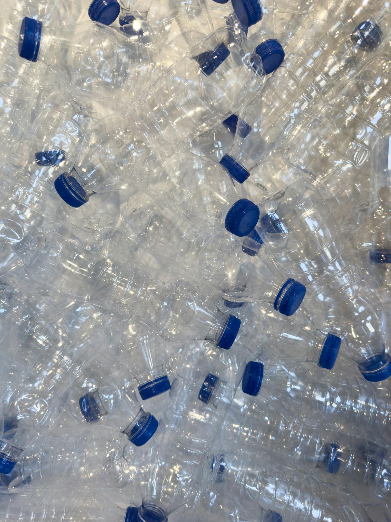 A large collection of empty plastic bottles ready for recycling, emphasizing sustainability and environmental care.